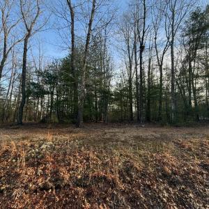Photo #11 of 1 Lot Blue Sky Court, Monroe, VA 2.1 acres