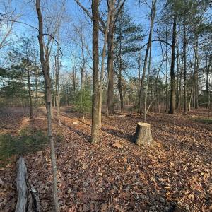 Photo #3 of 1 Lot Blue Sky Court, Monroe, VA 2.1 acres
