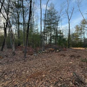 Photo #10 of 1 Lot Blue Sky Court, Monroe, VA 2.1 acres