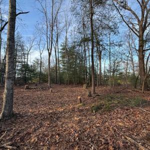 Photo #7 of 1 Lot Blue Sky Court, Monroe, VA 2.1 acres