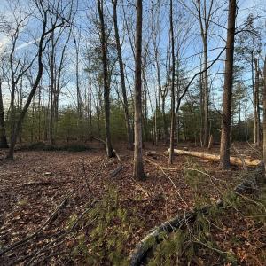 Photo #8 of 1 Lot Blue Sky Court, Monroe, VA 2.1 acres