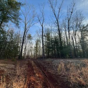 Photo #12 of 1 Lot Blue Sky Court, Monroe, VA 2.1 acres