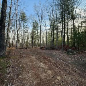 Photo #1 of 1 Lot Blue Sky Court, Monroe, VA 2.1 acres