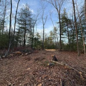 Photo #4 of 1 Lot Blue Sky Court, Monroe, VA 2.1 acres