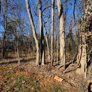 Photo #4 of 7105 Richmond Highway, Appomattox, VA 3.5 acres