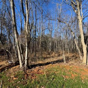 Photo #2 of 7105 Richmond Highway, Appomattox, VA 3.5 acres