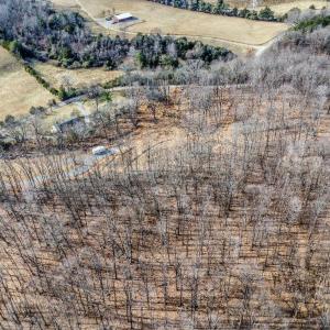Photo #12 of Pilot Mountain Road, Moneta, VA 5.8 acres
