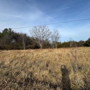 Photo #7 of Watt Abbitt Road, Appomattox, VA 42.7 acres