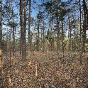 Photo #8 of Watt Abbitt Road, Appomattox, VA 42.7 acres