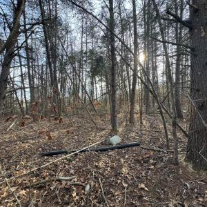 Photo #5 of Watt Abbitt Road, Appomattox, VA 42.7 acres