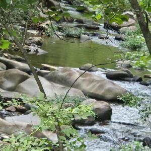 Photo #2 of Earley Farm Rd, Madison Heights, VA 58.4 acres