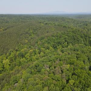 Photo #9 of Earley Farm Rd, Madison Heights, VA 58.4 acres