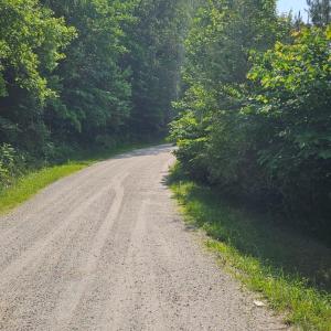 Photo #3 of Earley Farm Rd, Madison Heights, VA 58.4 acres