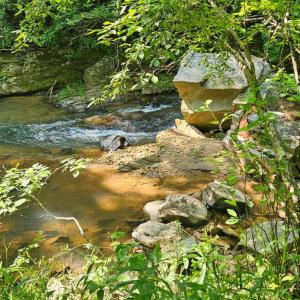 Photo #8 of Earley Farm Rd, Madison Heights, VA 58.4 acres