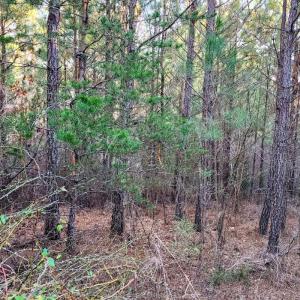 Photo #13 of Rose Lane, Nathalie, VA 94.0 acres