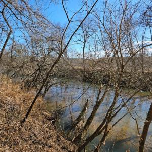 Photo #4 of Rose Lane, Nathalie, VA 94.0 acres