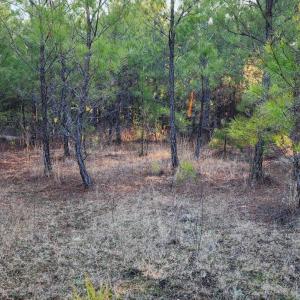 Photo #12 of Rose Lane, Nathalie, VA 94.0 acres