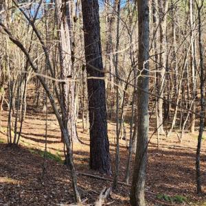 Photo #8 of Rose Lane, Nathalie, VA 94.0 acres