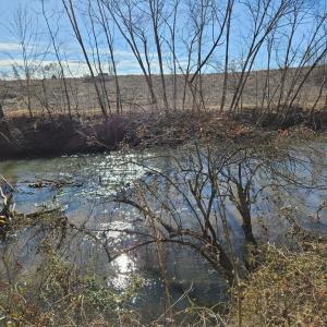 Photo #6 of Rose Lane, Nathalie, VA 94.0 acres