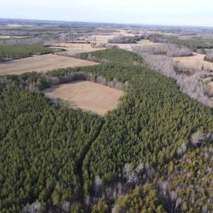 Photo #10 of TN Snow Road, Nathalie, VA 44.1 acres