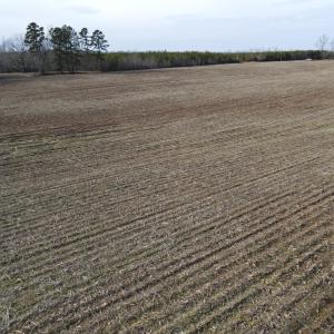 Photo #7 of TN Snow Road, Nathalie, VA 44.1 acres