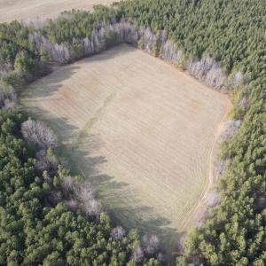 Photo #5 of TN Snow Road, Nathalie, VA 44.1 acres