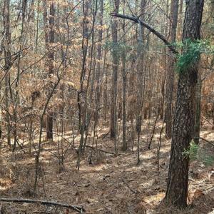 Photo #9 of TN Snow Road, Nathalie, VA 44.1 acres