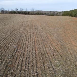 Photo #2 of TN Snow Road, Nathalie, VA 44.1 acres