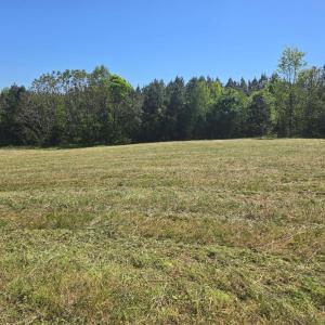 Photo #3 of TN Snow Road, Nathalie, VA 44.1 acres