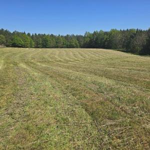 Photo #6 of TN Snow Road, Nathalie, VA 44.1 acres