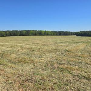 Photo #13 of TN Snow Road, Nathalie, VA 44.1 acres