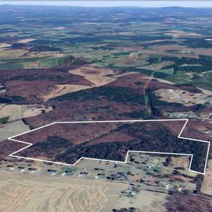 Photo #3 of W Haven Lane, Concord, VA 55.7 acres