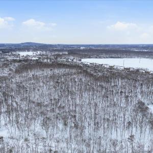 Photo #12 of W Haven Lane, Concord, VA 55.7 acres