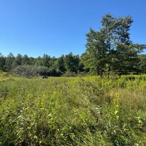 Photo #3 of Waughs Ferry Xing, Monroe, VA 39.9 acres