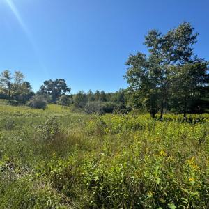 Photo #2 of Waughs Ferry Xing, Monroe, VA 39.9 acres