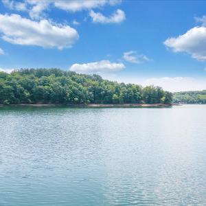 Photo #3 of Runaway Bay Rd, Lynch Station, VA 1.6 acres