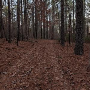 Photo #10 of 4374 Tye River, Amherst, VA 10.0 acres