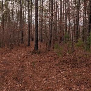 Photo #16 of 4374 Tye River, Amherst, VA 10.0 acres