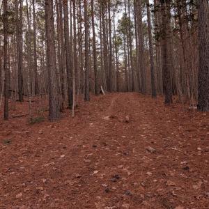 Photo #15 of 4374 Tye River, Amherst, VA 10.0 acres