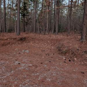 Photo #7 of 4374 Tye River, Amherst, VA 10.0 acres