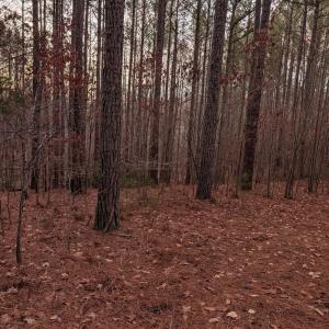 Photo #14 of 4374 Tye River, Amherst, VA 10.0 acres