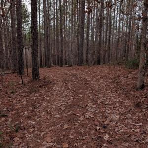 Photo #12 of 4374 Tye River, Amherst, VA 10.0 acres