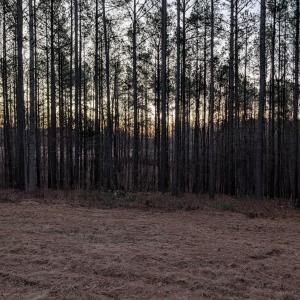 Photo #9 of 4374 Tye River, Amherst, VA 10.0 acres