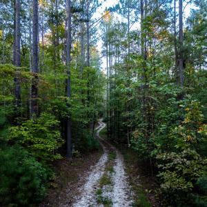 Photo #2 of 4374 Tye River, Amherst, VA 10.0 acres