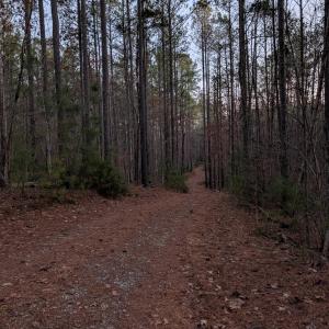 Photo #6 of 4374 Tye River, Amherst, VA 10.0 acres