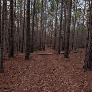 Photo #11 of 4374 Tye River, Amherst, VA 10.0 acres