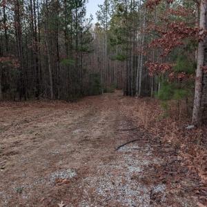 Photo #17 of 4374 Tye River, Amherst, VA 10.0 acres