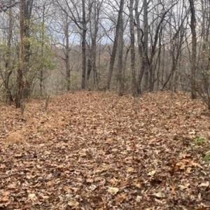 Photo #2 of 1147 Stratford Road, Lynchburg, VA 9.5 acres