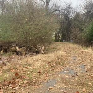 Photo #4 of 1147 Stratford Road, Lynchburg, VA 9.5 acres