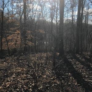 Photo #10 of 1147 Stratford Road, Lynchburg, VA 9.5 acres